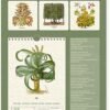 Uncoated paper calendar 2022 -16x49 cm herbarium