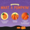 ZUCCA PIEGHEVOLE IN CARTA - WHAT A PUMPKIN! - PUMPKIN