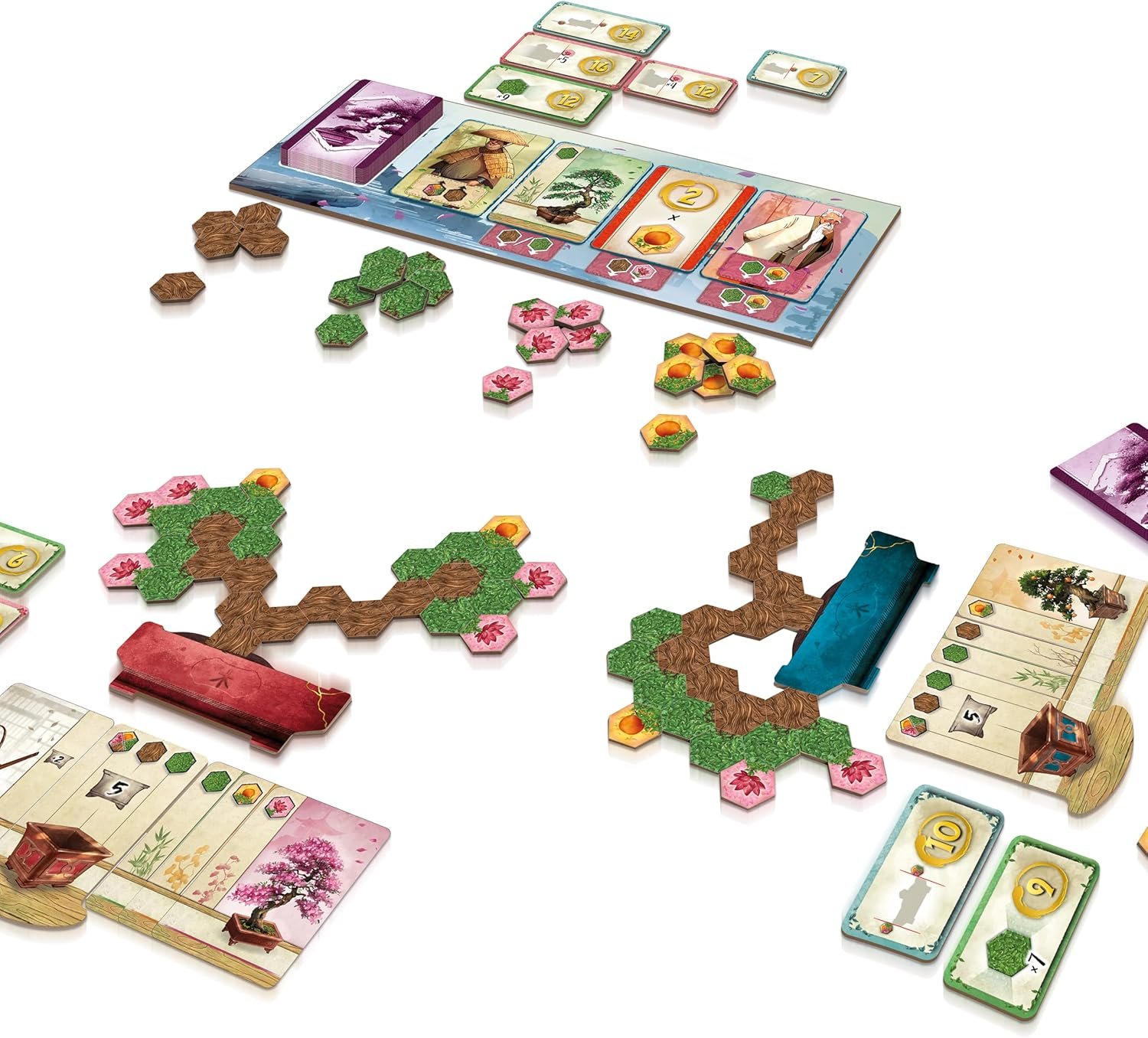 Bonsai (ITA) - immagine 2