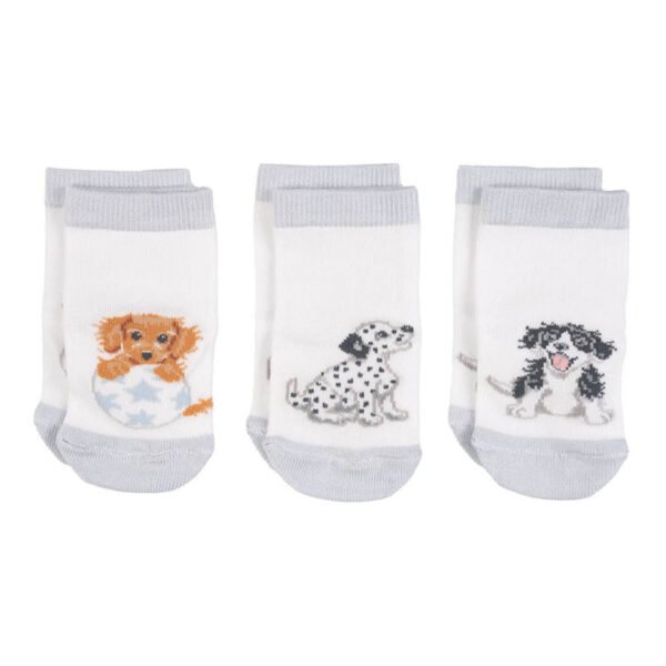 Little Paws Baby Socks Set 0 to 6 Months
