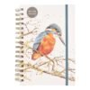 Kingfisher Blank HB Notebook Pond Dipping