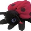Marionetta coccinella
