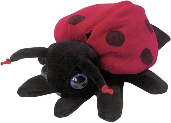 Marionetta coccinella
