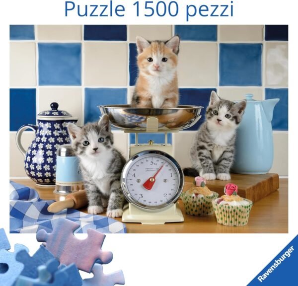 K&auml;tzchen in der K&uuml;che - Gattini in cucina - 1500p