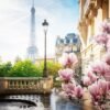 Primavera a Parigi - 500p