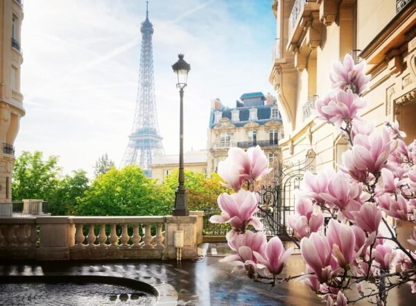 Primavera a Parigi - 500p