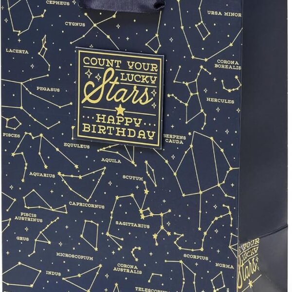 GIFT BAG - SACCHETTO REGALO - STARS