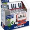 Fisarmonica a 17 tasti