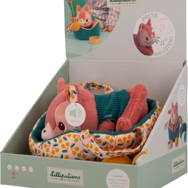 Jeanne il Gatto e il suo Cestino