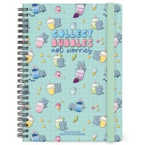 16-MONTH DIARY 2027 - KITTY
