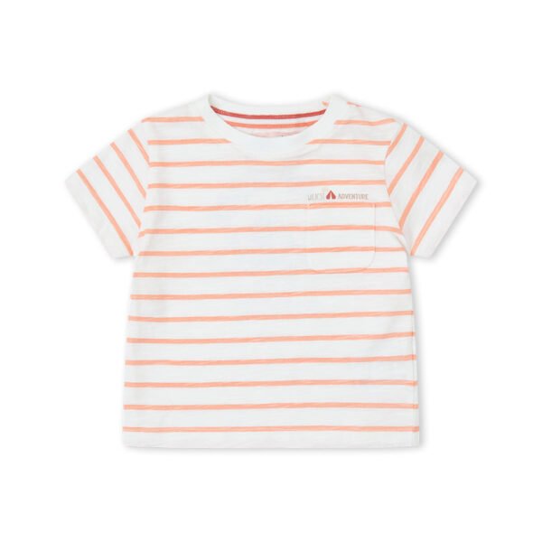 Camiseta ni&ntilde;o bbcamp - beig - 24m