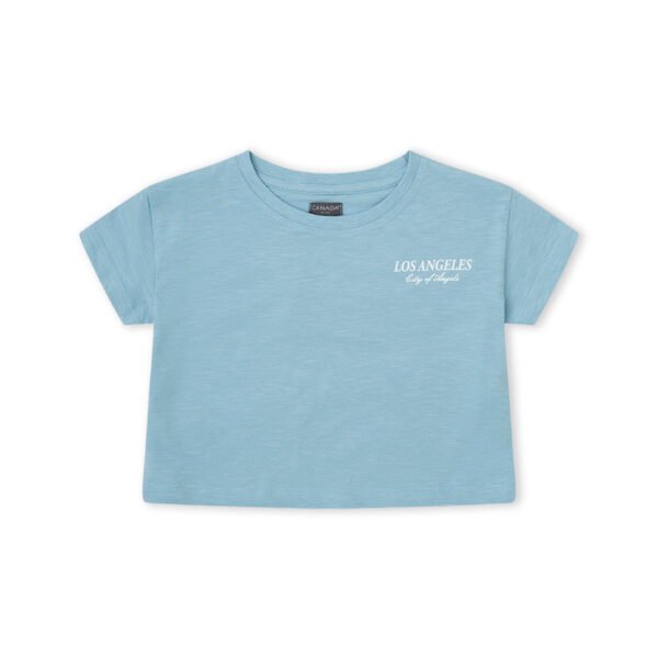 Camiseta fleamarket - azul - 8y