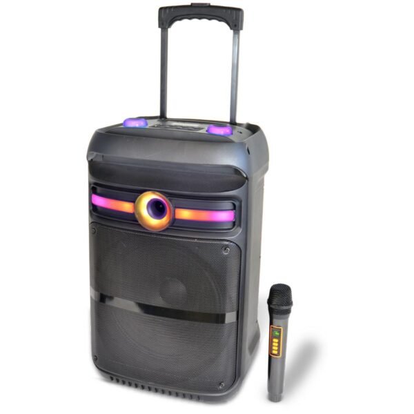 Cassa wireless con microfono wireless e luci RGB