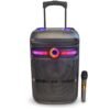 Cassa wireless con microfono wireless e luci RGB