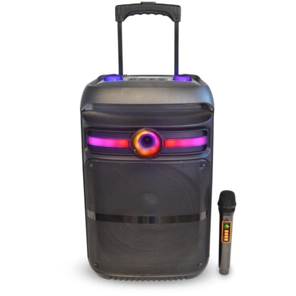 Cassa wireless con microfono wireless e luci RGB