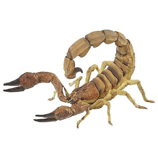 Papo - Scorpion