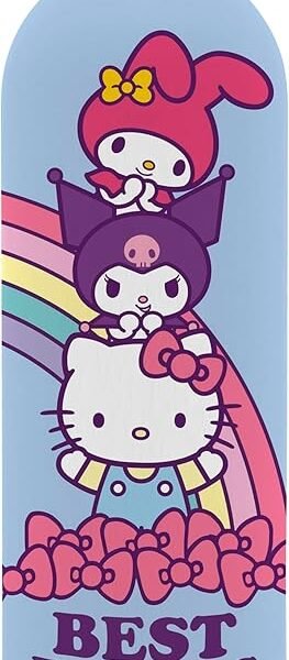 Stainless steel soft touch 800ml bottle hello kitty & friends