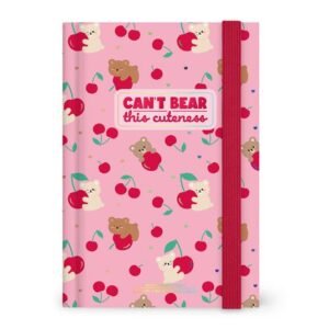 16-MONTH DIARY 2027 - TEDDY BEAR