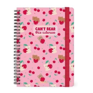 16-MONTH DIARY 2027 - TEDDY BEAR
