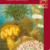 VENTIMILA LEGHE SOTTO I MARI DI JULES VERNE