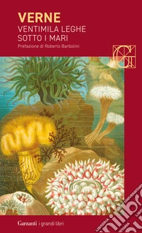 VENTIMILA LEGHE SOTTO I MARI DI JULES VERNE