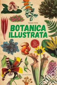 Botanica illustrata