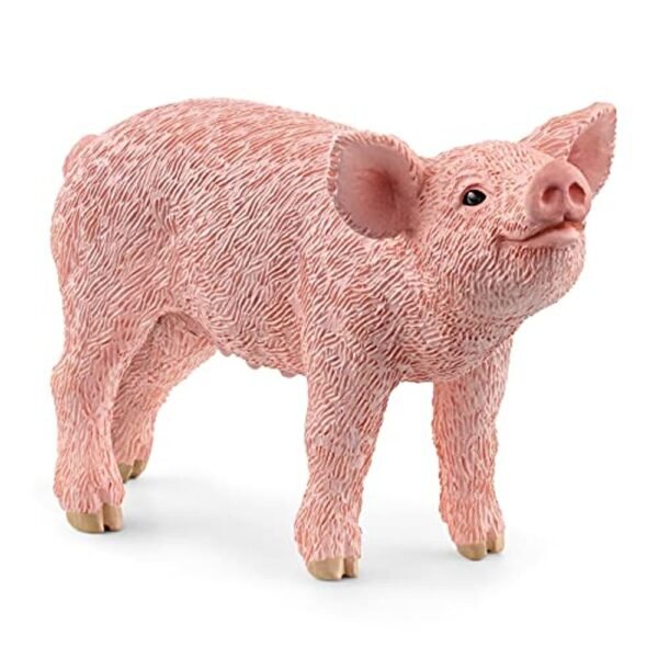 Pv0105-13934 - piglet