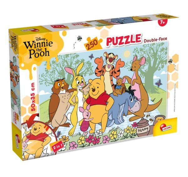 DISNEY PUZZLE DF PLUS 250 WINNIE THE POOH